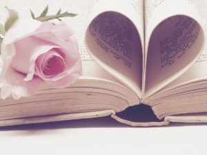 valentines day background, love story, valentine's day, book, literature, rose flower, page, valentine, vintage, rose, romantic, love, romance, concept, bloom